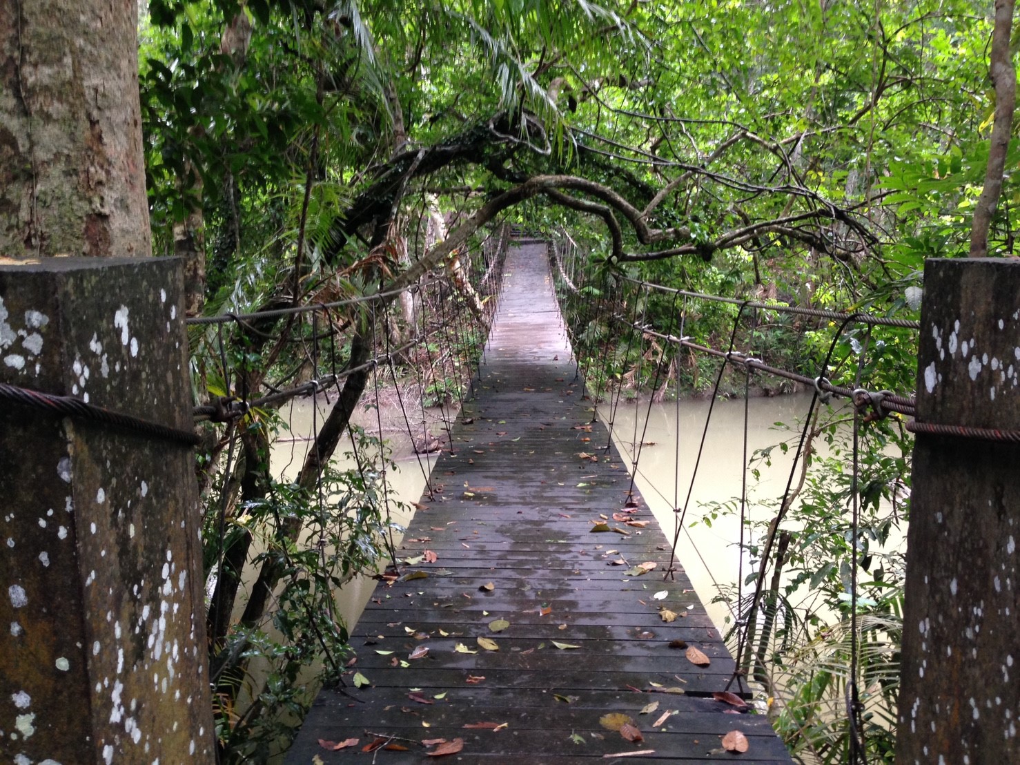 เขาใหญ่&บางแสน Oct17_171023_0056.jpg