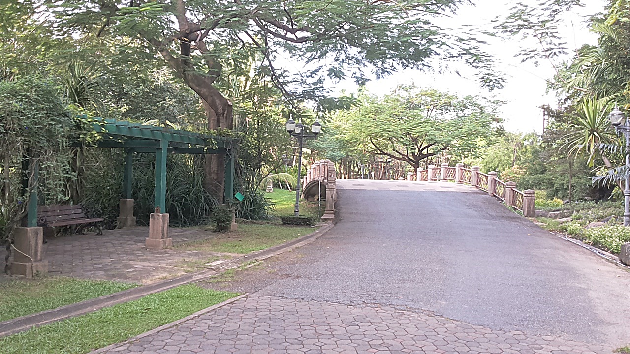 20171129_073302.jpg