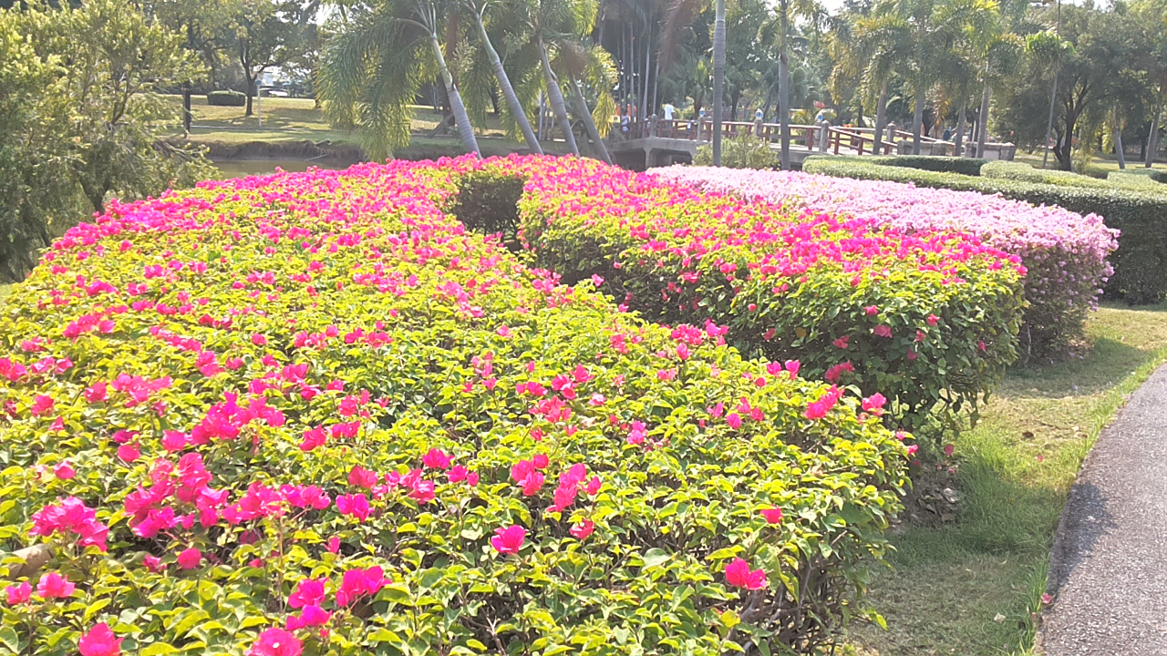 20171230_140921.jpg
