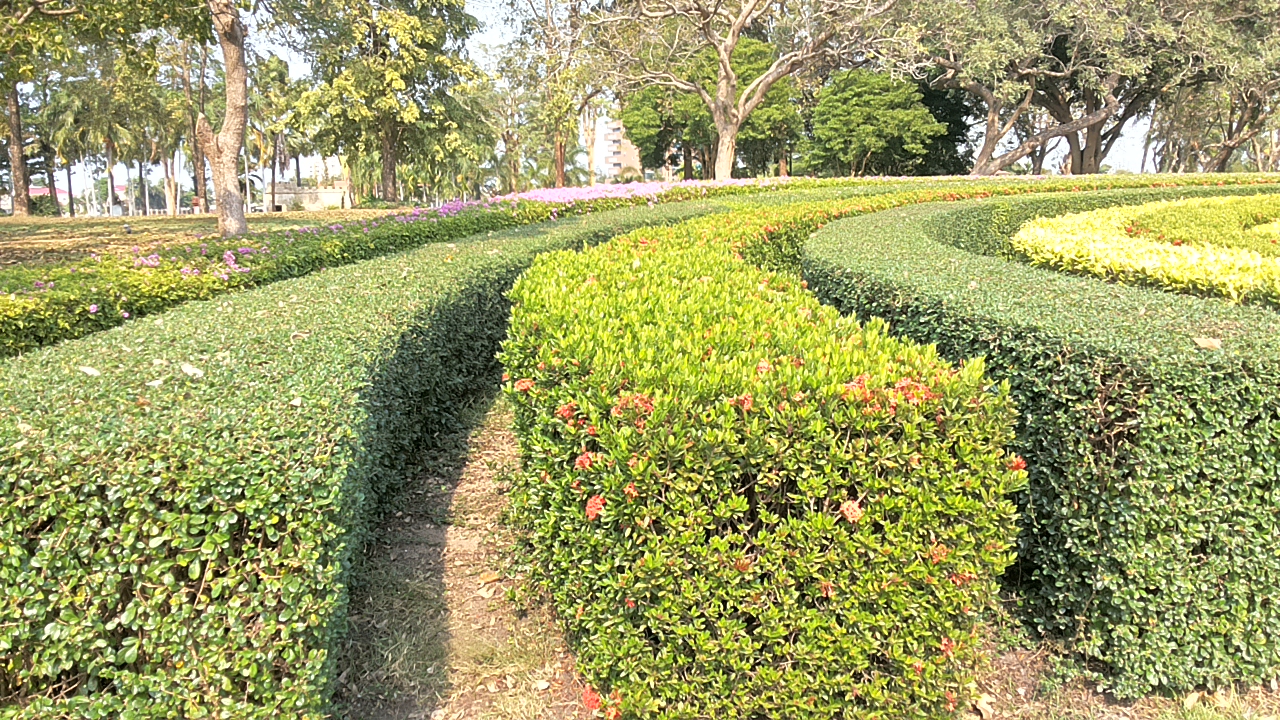 20171230_141041.jpg