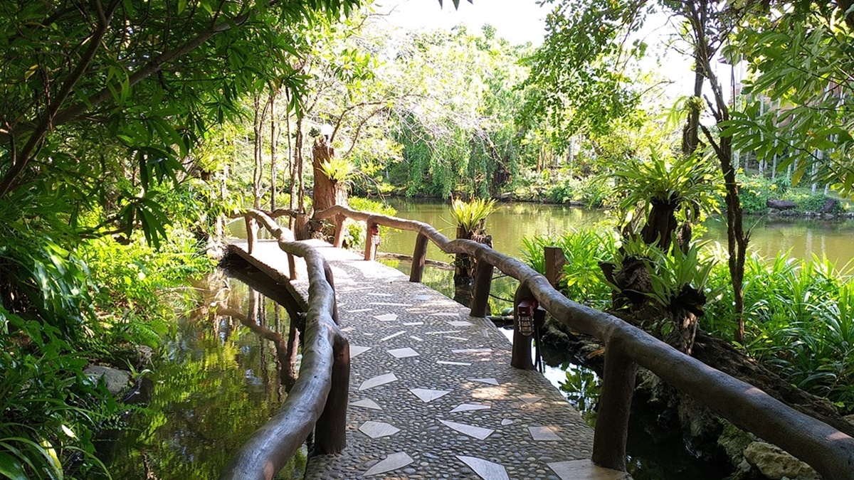 20181009_151014.jpg