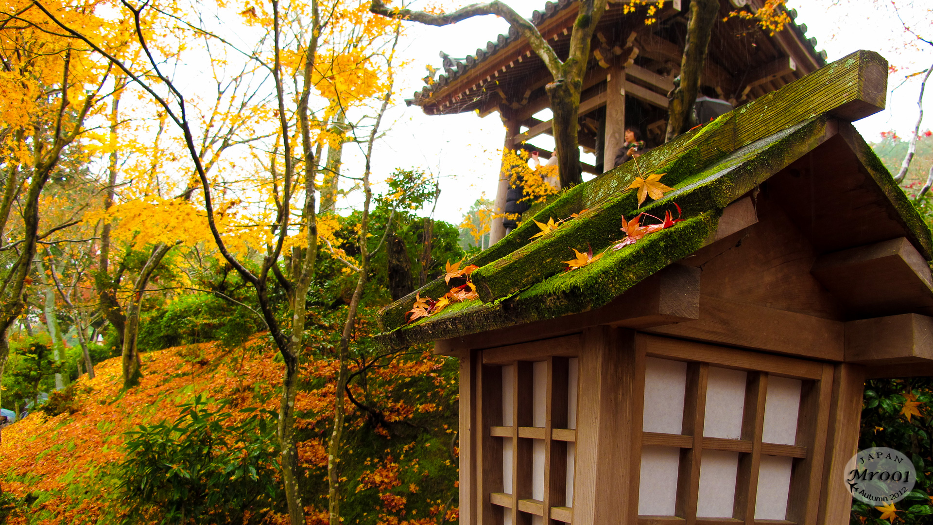 Arashiyama-11.jpg
