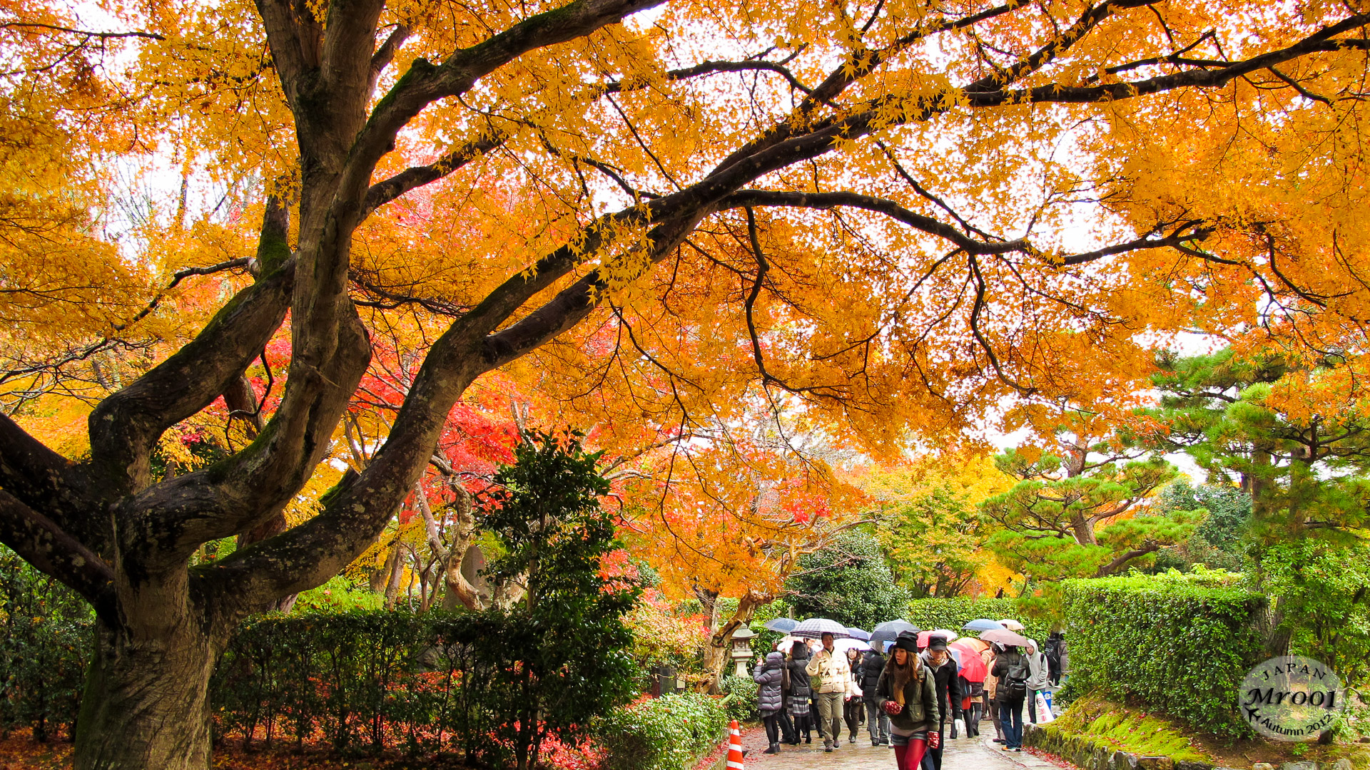 Arashiyama-13.jpg