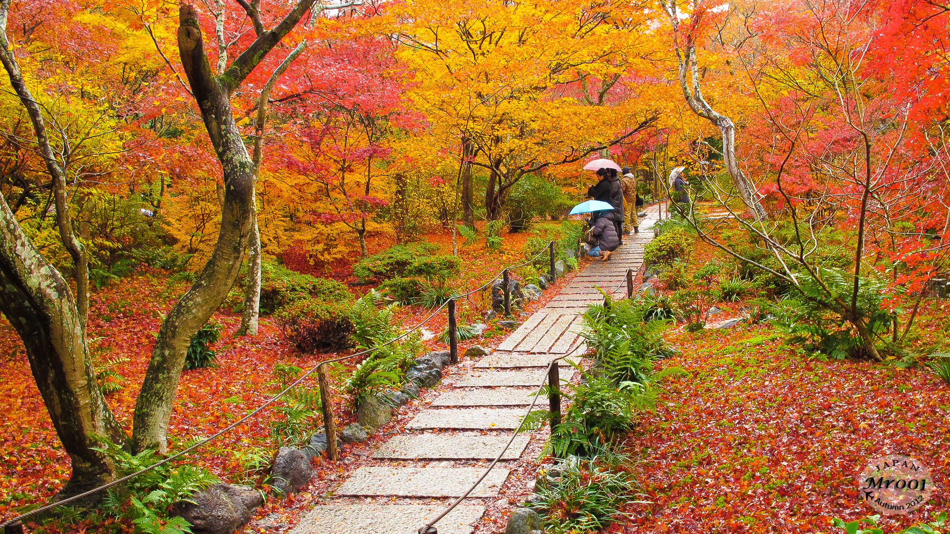 Arashiyama-14.jpg