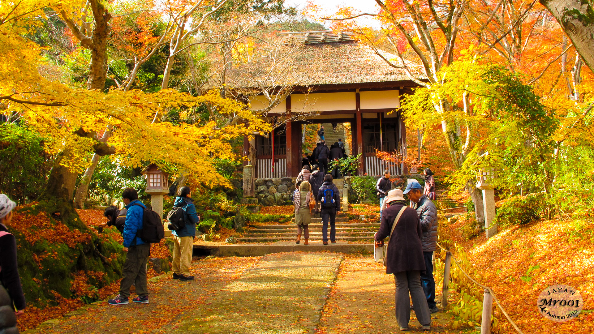 Arashiyama-3.jpg