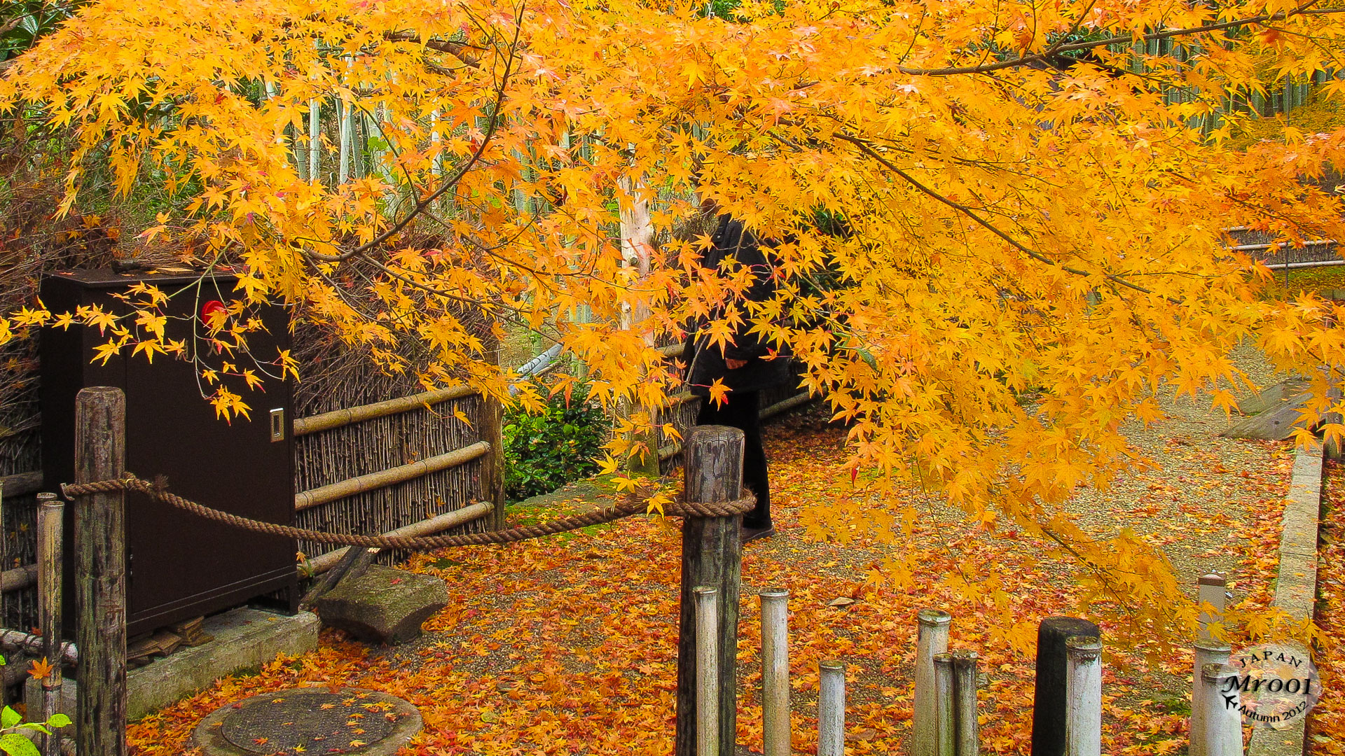 Arashiyama-4.jpg