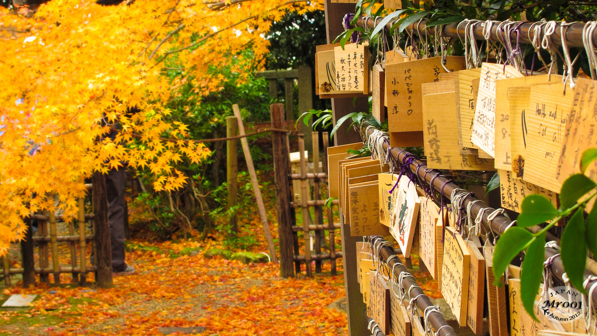 Arashiyama-5.jpg