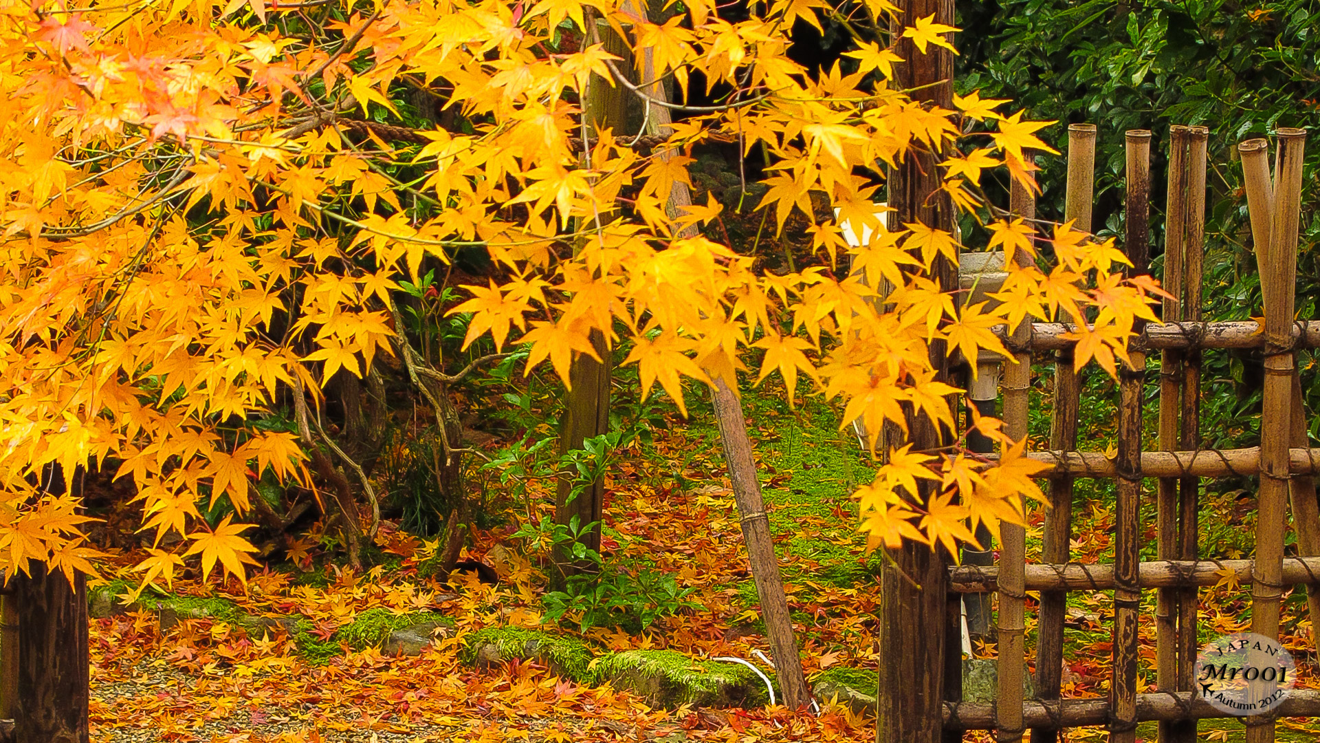 Arashiyama-6.jpg