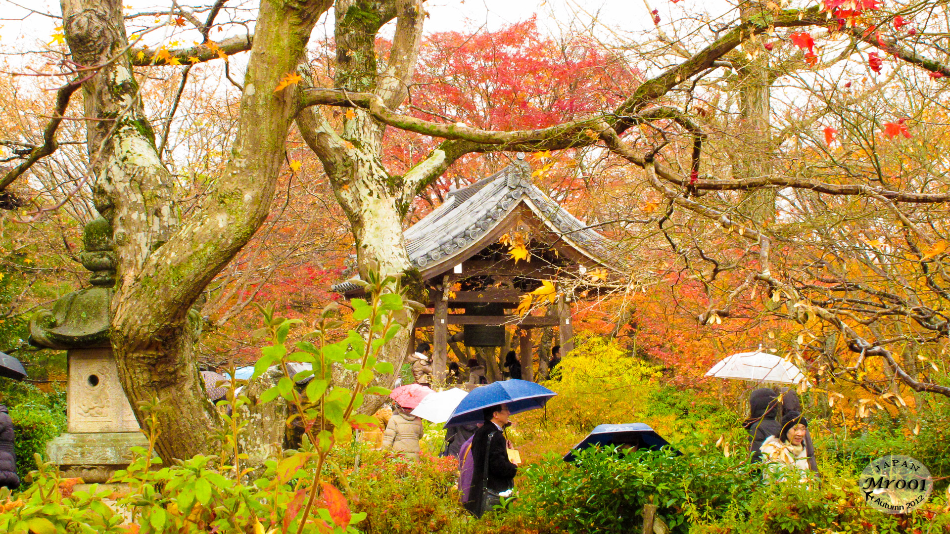 Arashiyama-8.jpg