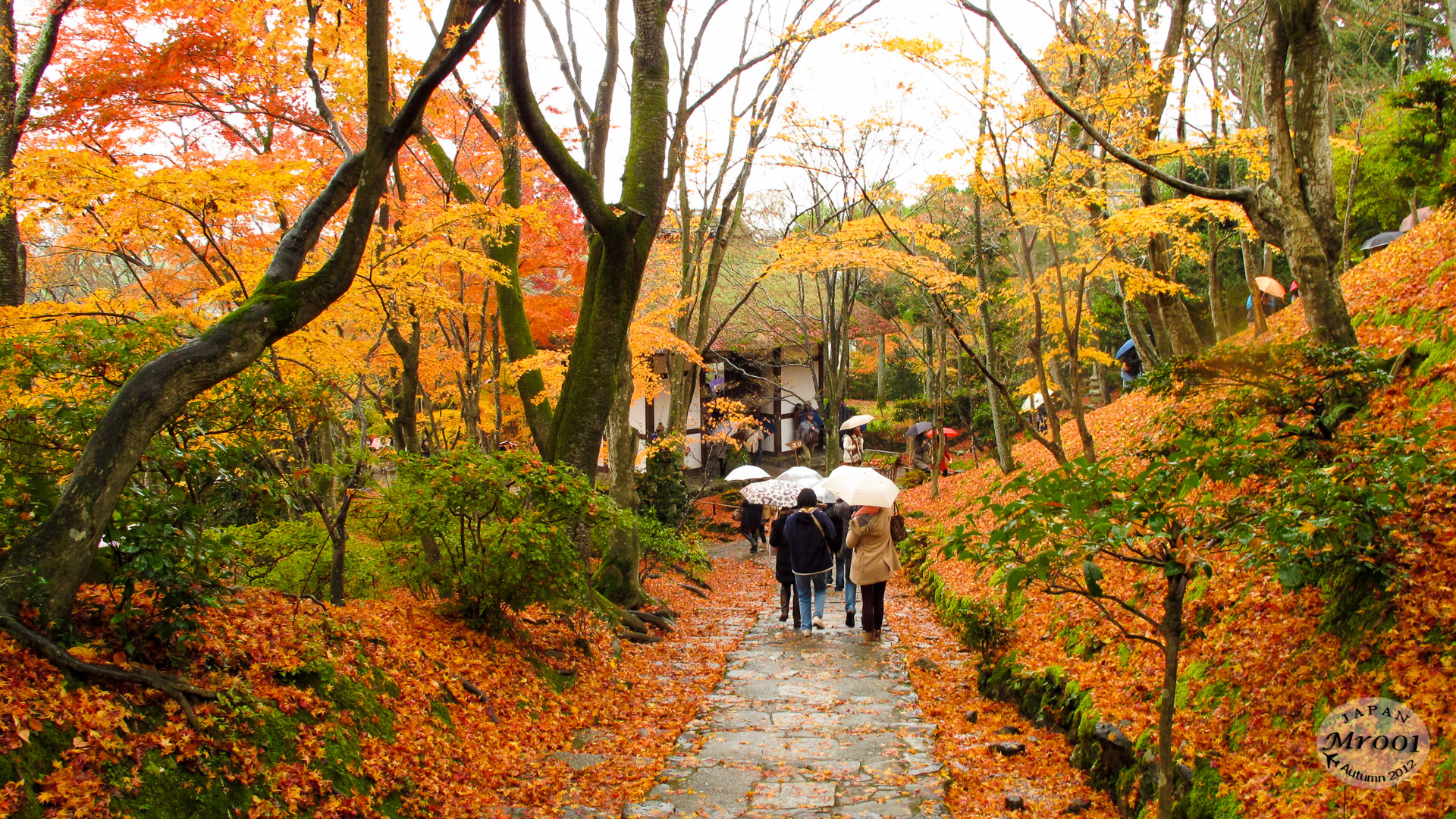 Arashiyama-9.jpg