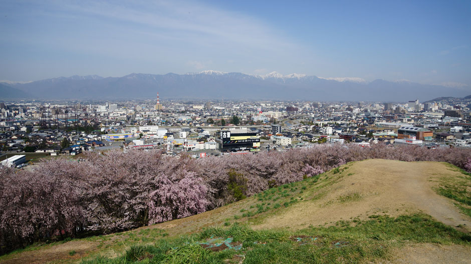 DSC04222.JPG