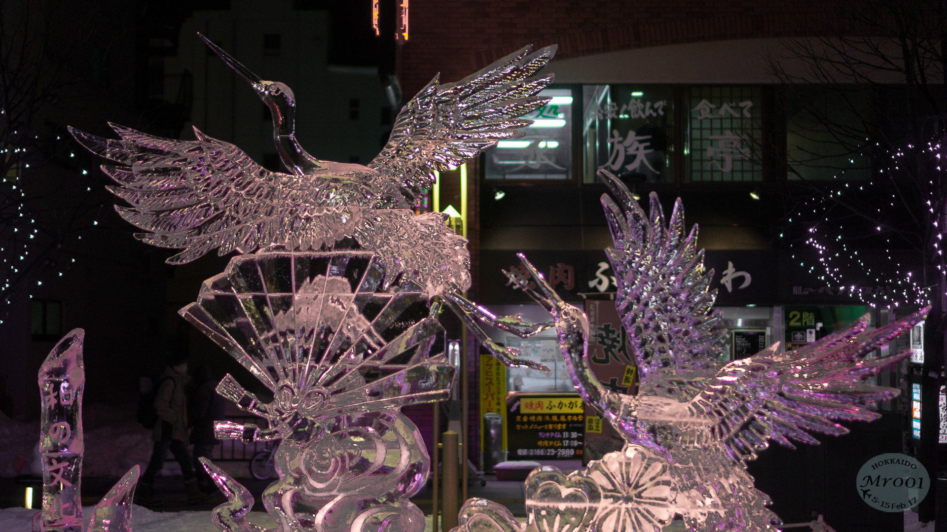 DSC07865.jpg