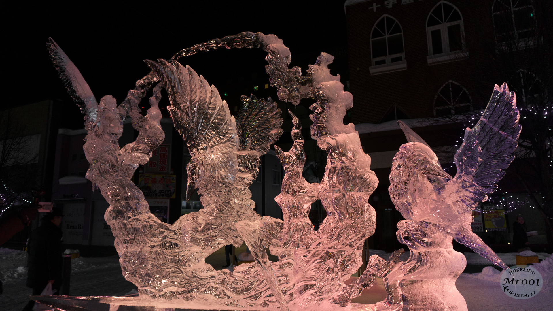 DSC07886.jpg
