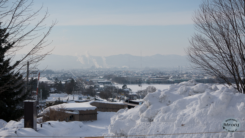 DSC08087.jpg