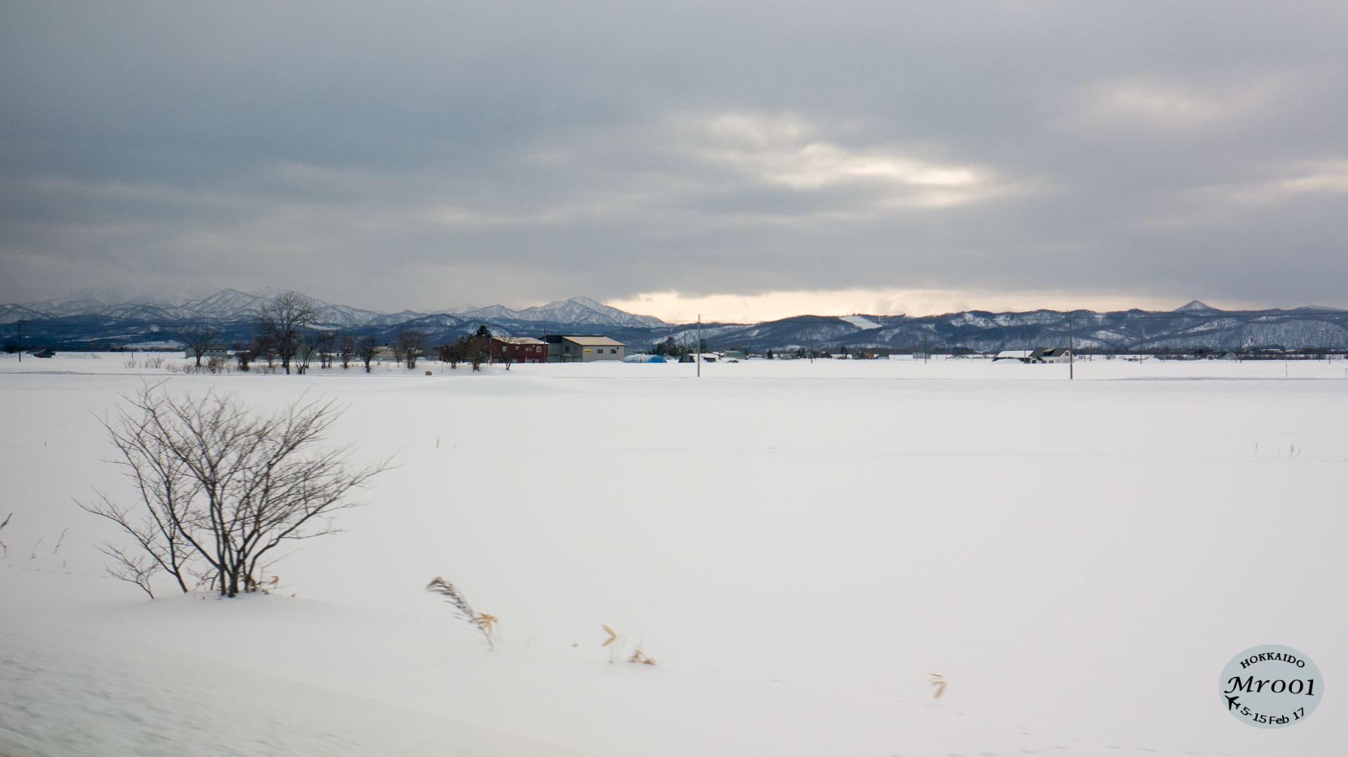 DSC08615.jpg