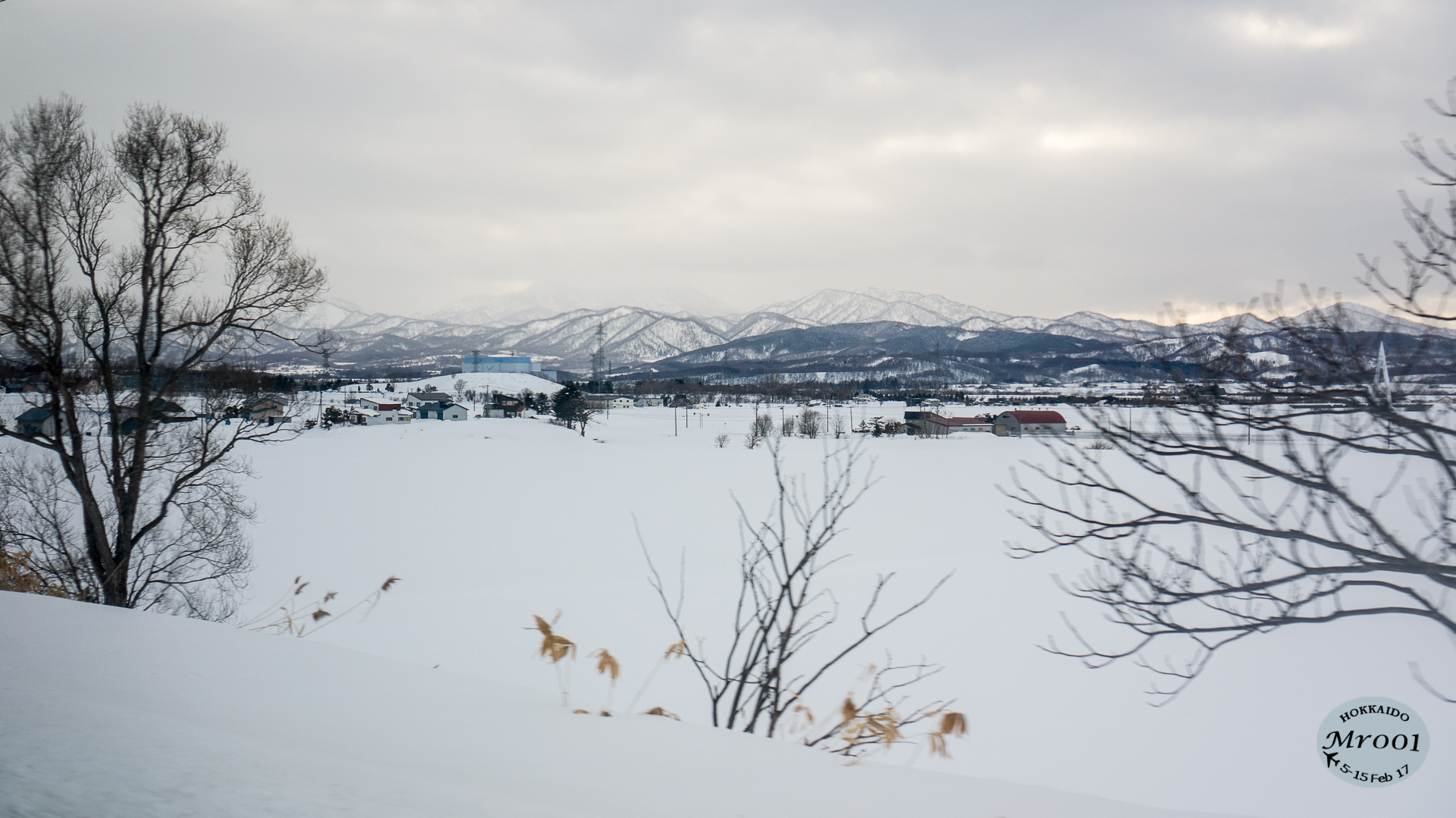 DSC08628.jpg