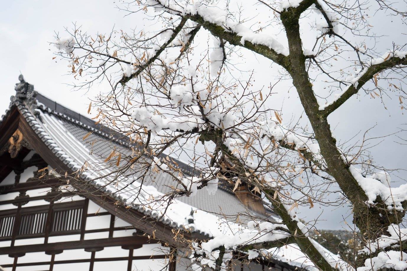 kinkakuji1.jpg