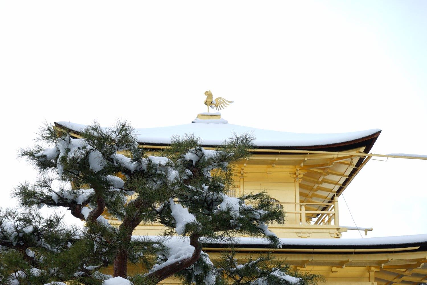 kinkakuji5.jpg