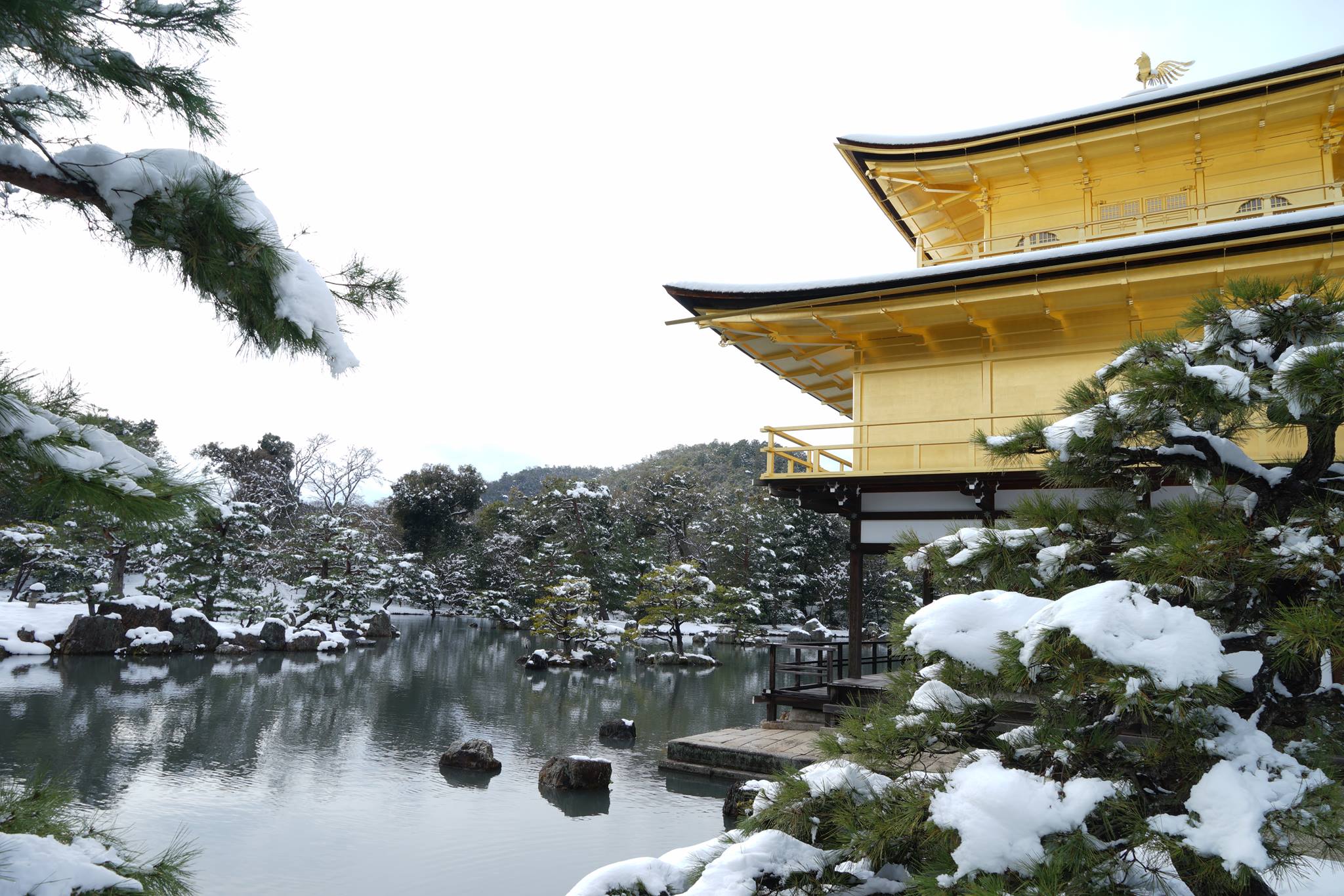 kinkakuji6.jpg
