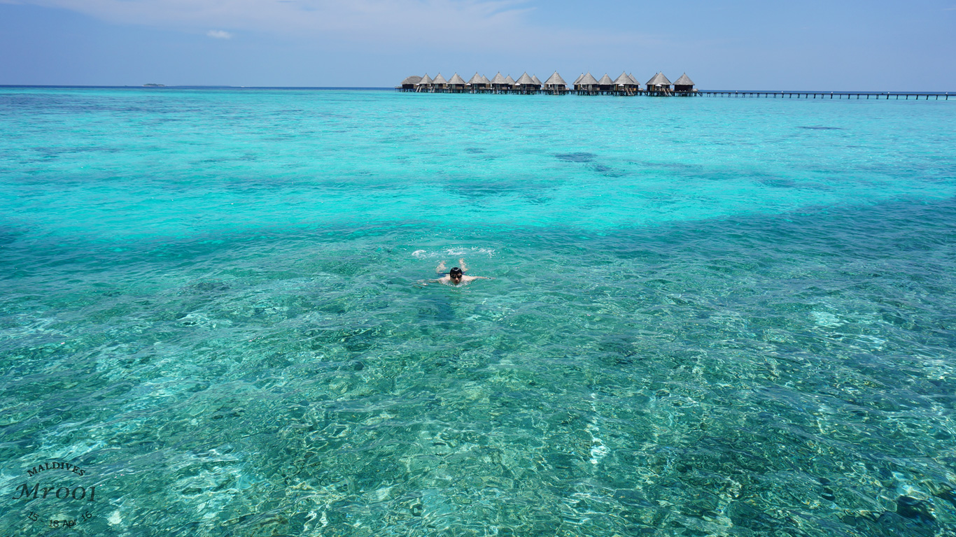 maldives1.jpg