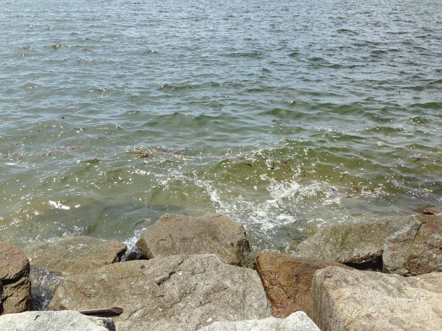 S__3284997.jpg