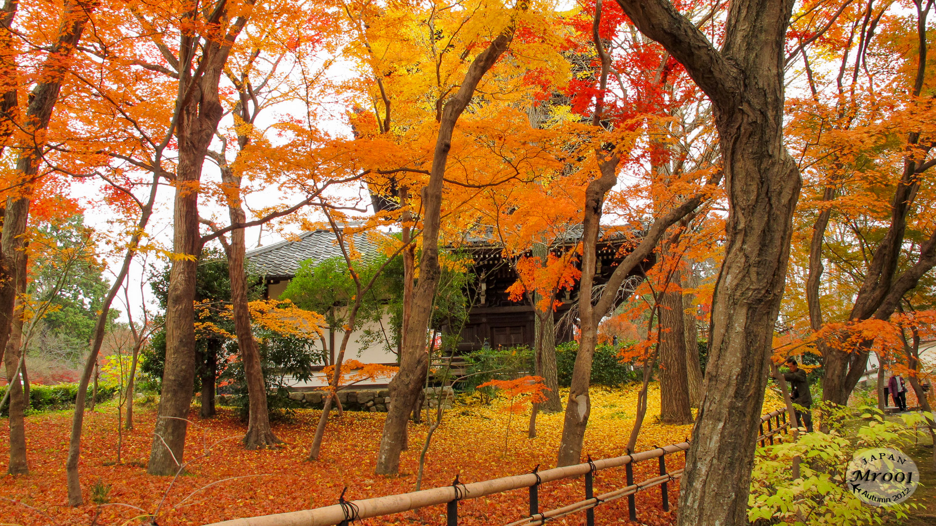 Shinnyodo-3.jpg