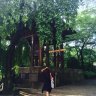 hanachan